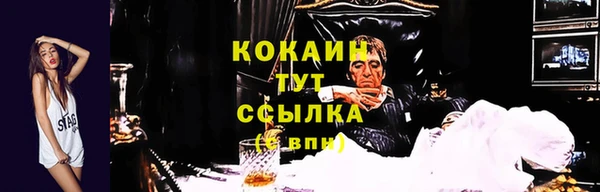 прущая мука Краснослободск